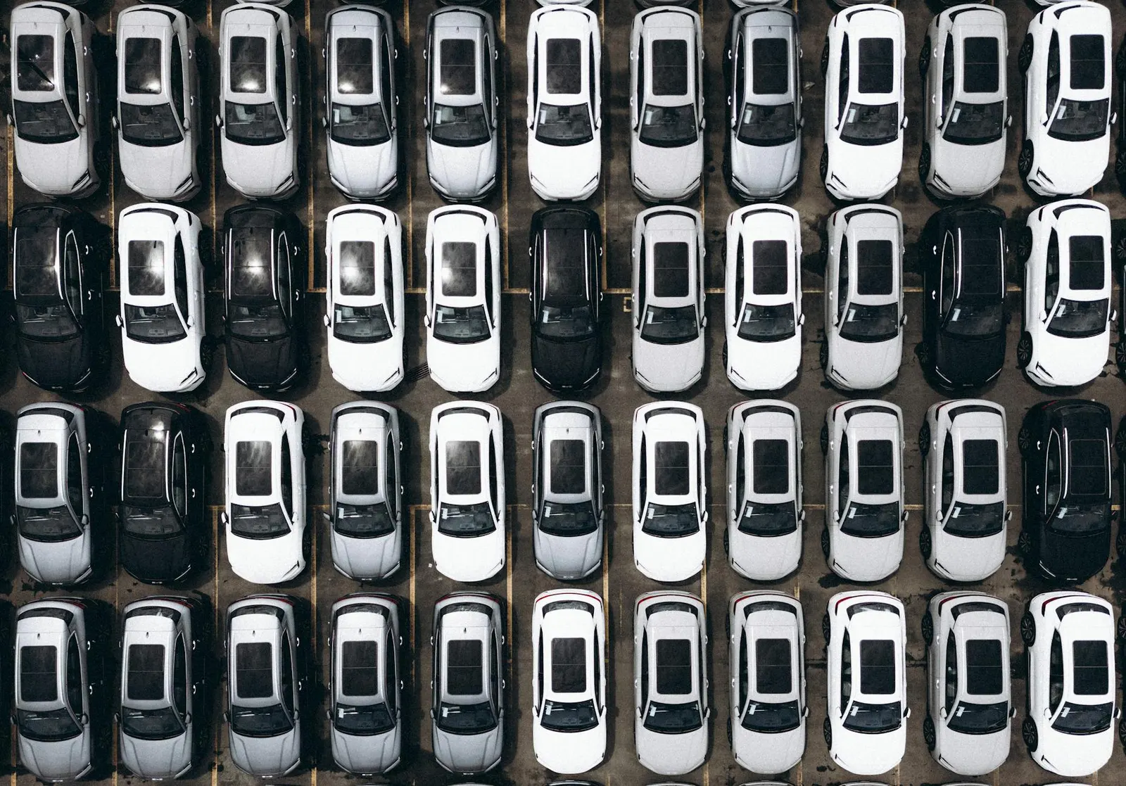 business car fleet