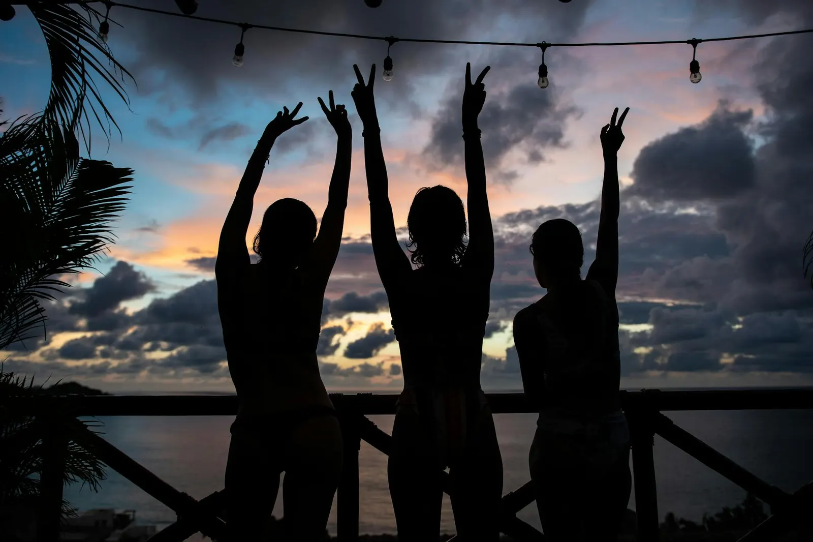 evening party silhouette