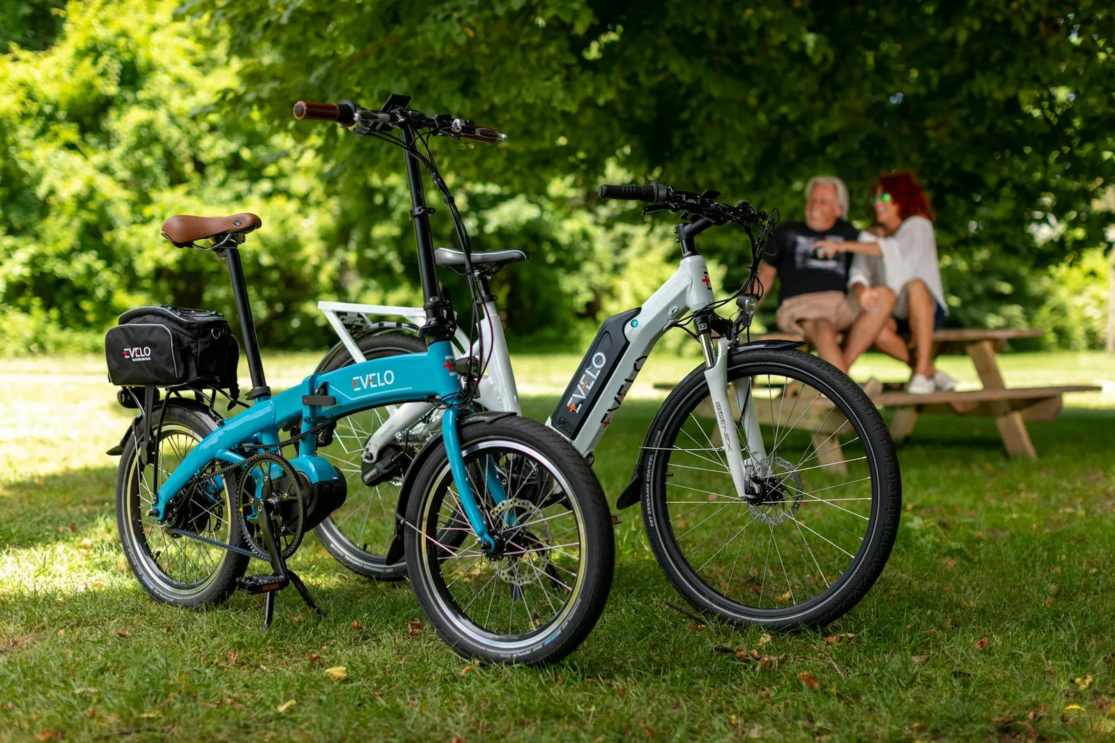 electric bike park