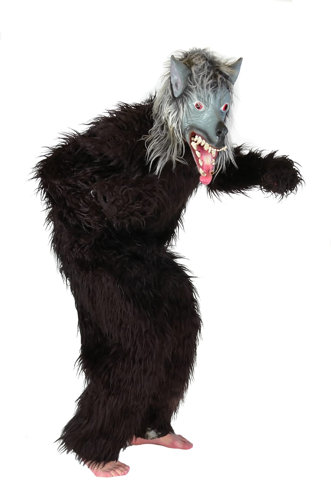 Affe, Gorilla, Bär, Wolf – 3