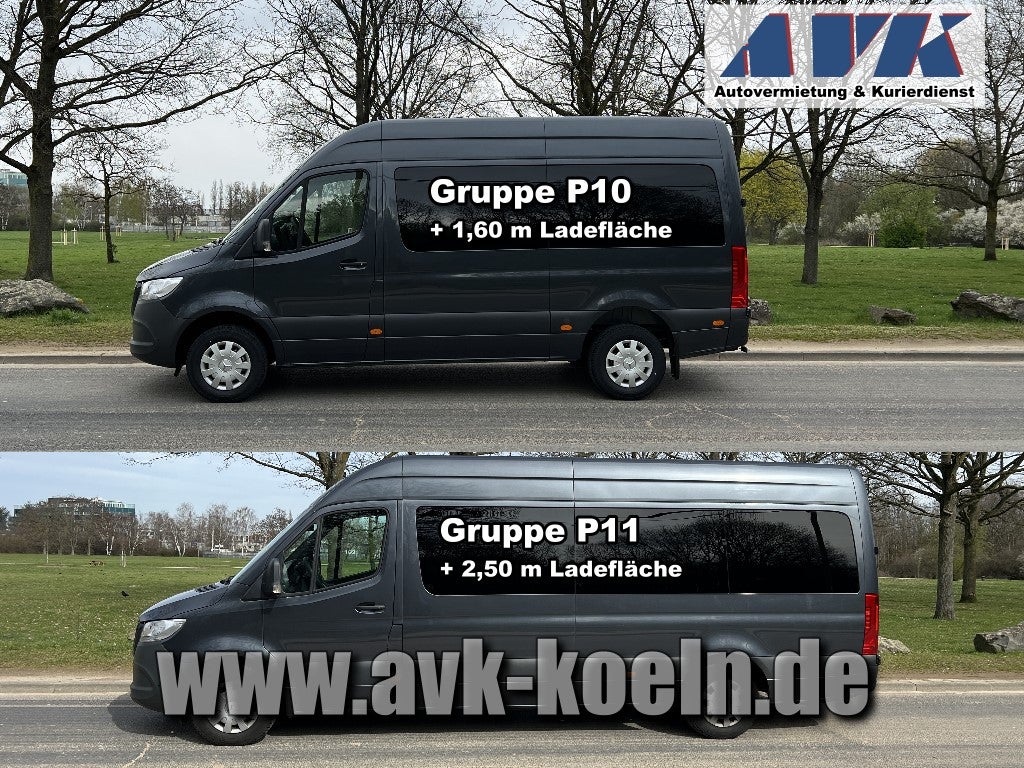 9-Sitzer Bus XXL mieten – bis zu 2,50 m Ladefläche – 2