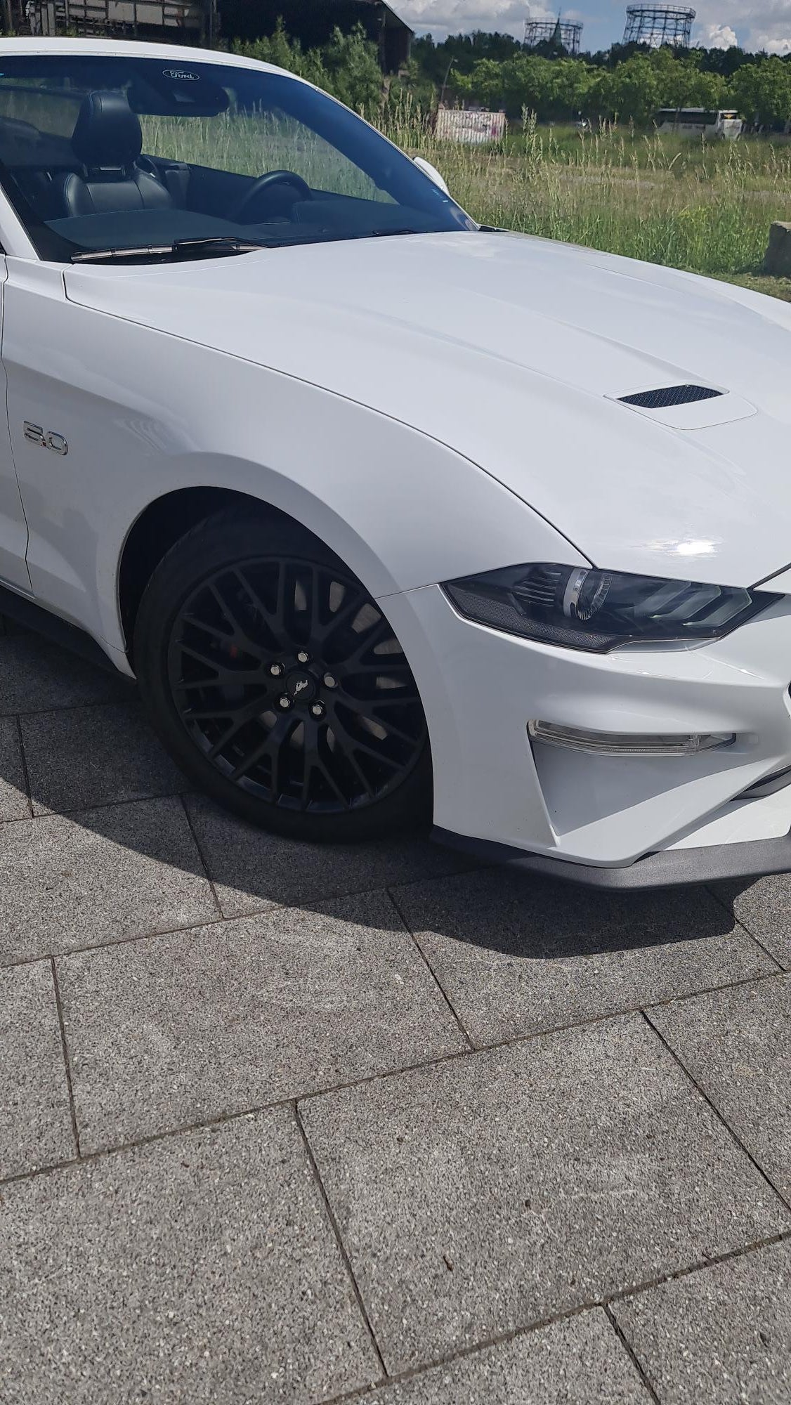 Ford Mustang GT 5.0 V8 Cabrio mieten - 450 PS US-Muscle-Car – 4