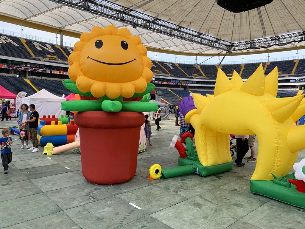 Sonnenblume mieten in Koblenz bei Dominik Liebehenz – 2