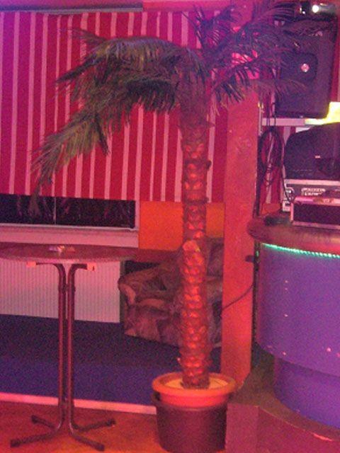 Kunstpflanze Palme 3,0m mieten in Reinstädt – Mietartikel