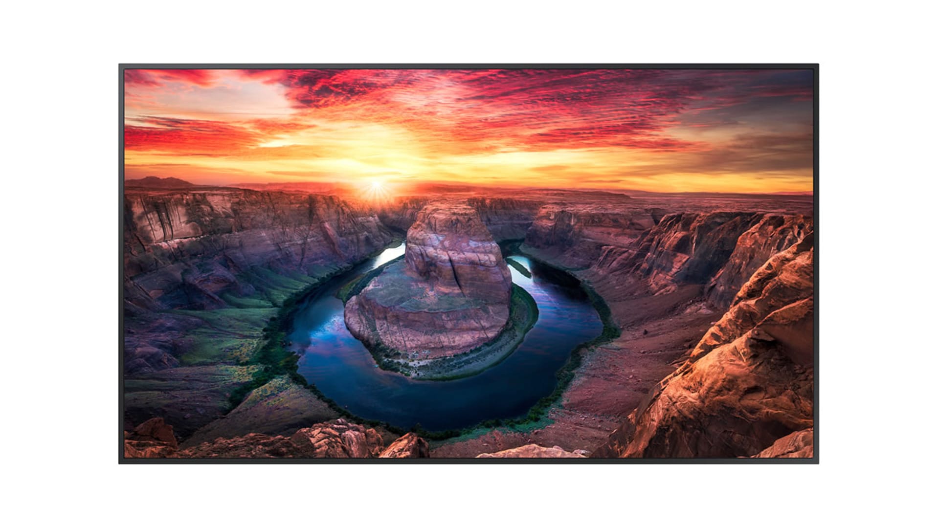 Samsung QM55B Display 55 Zoll 4K mieten bei The IT Net