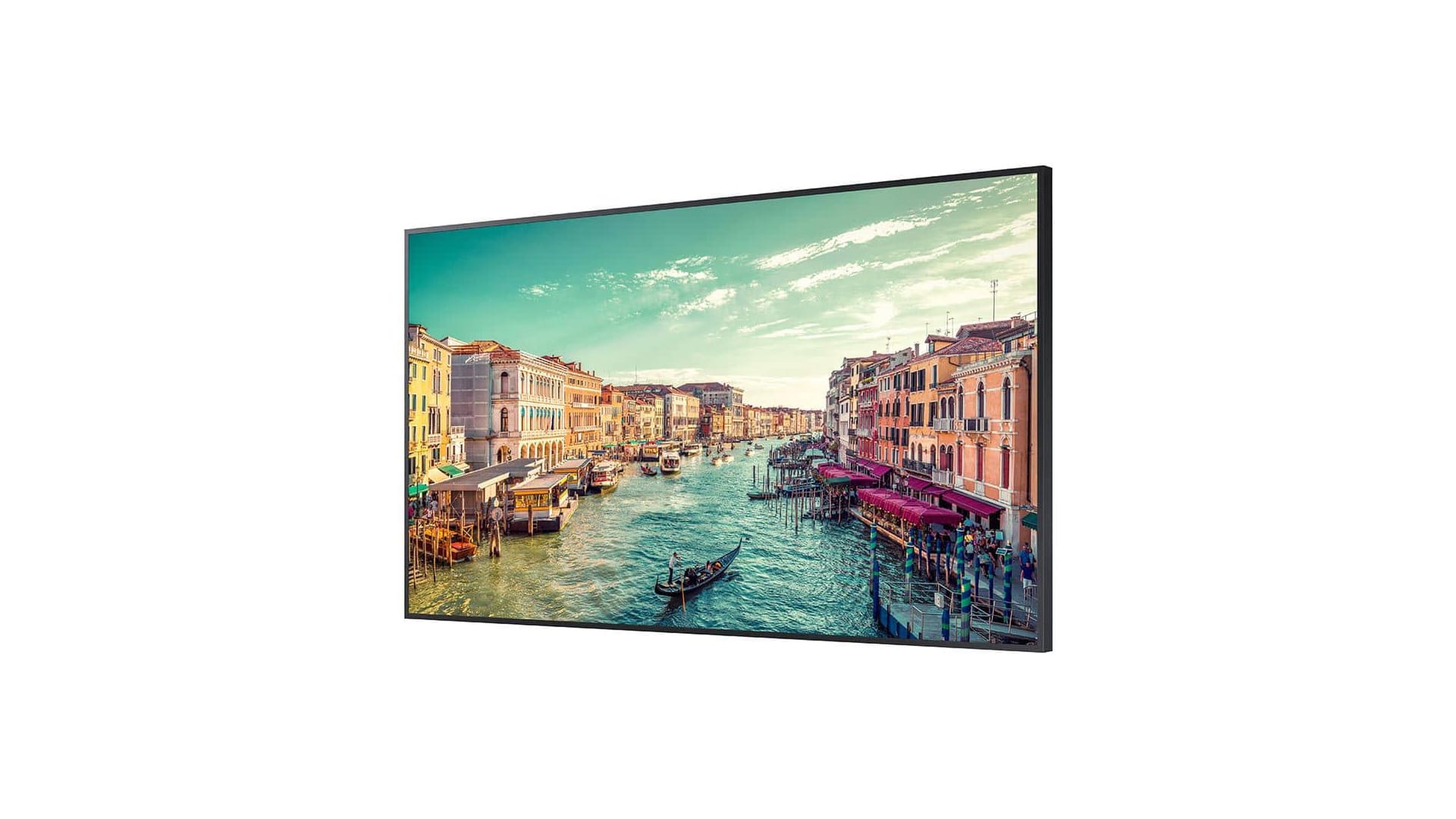 Samsung QM50C Display 50 Zoll 4K mieten bei The IT Net