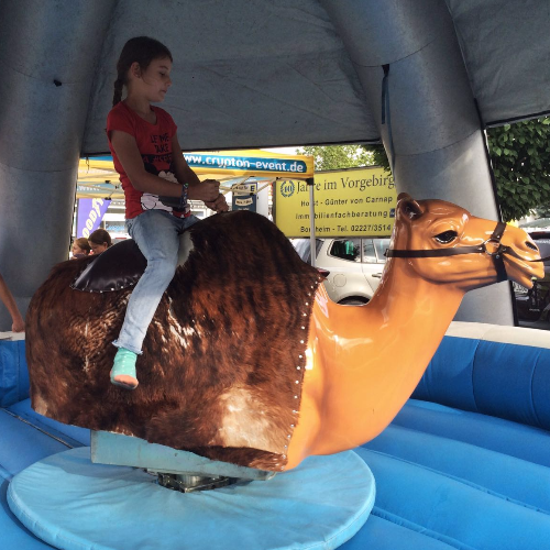 Kamel Rodeo mieten bei Crypton Event