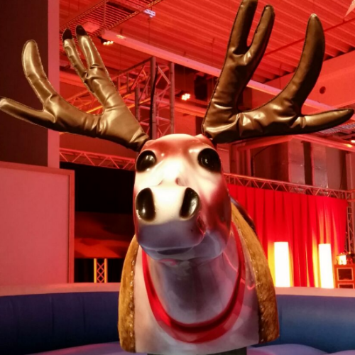 Rentier Rodeo mieten bei Crypton Event