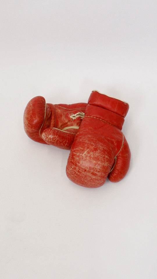 Boxhandschuhe – Accessoires – Rot (Boxhandschuhe) mieten