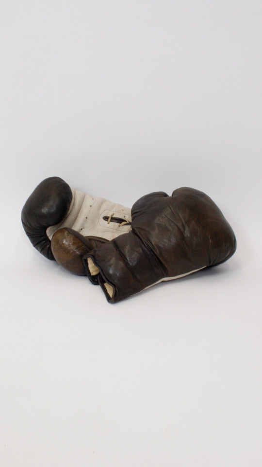 Boxhandschuhe – Accessoires – Braun (Boxhandschuhe) mieten