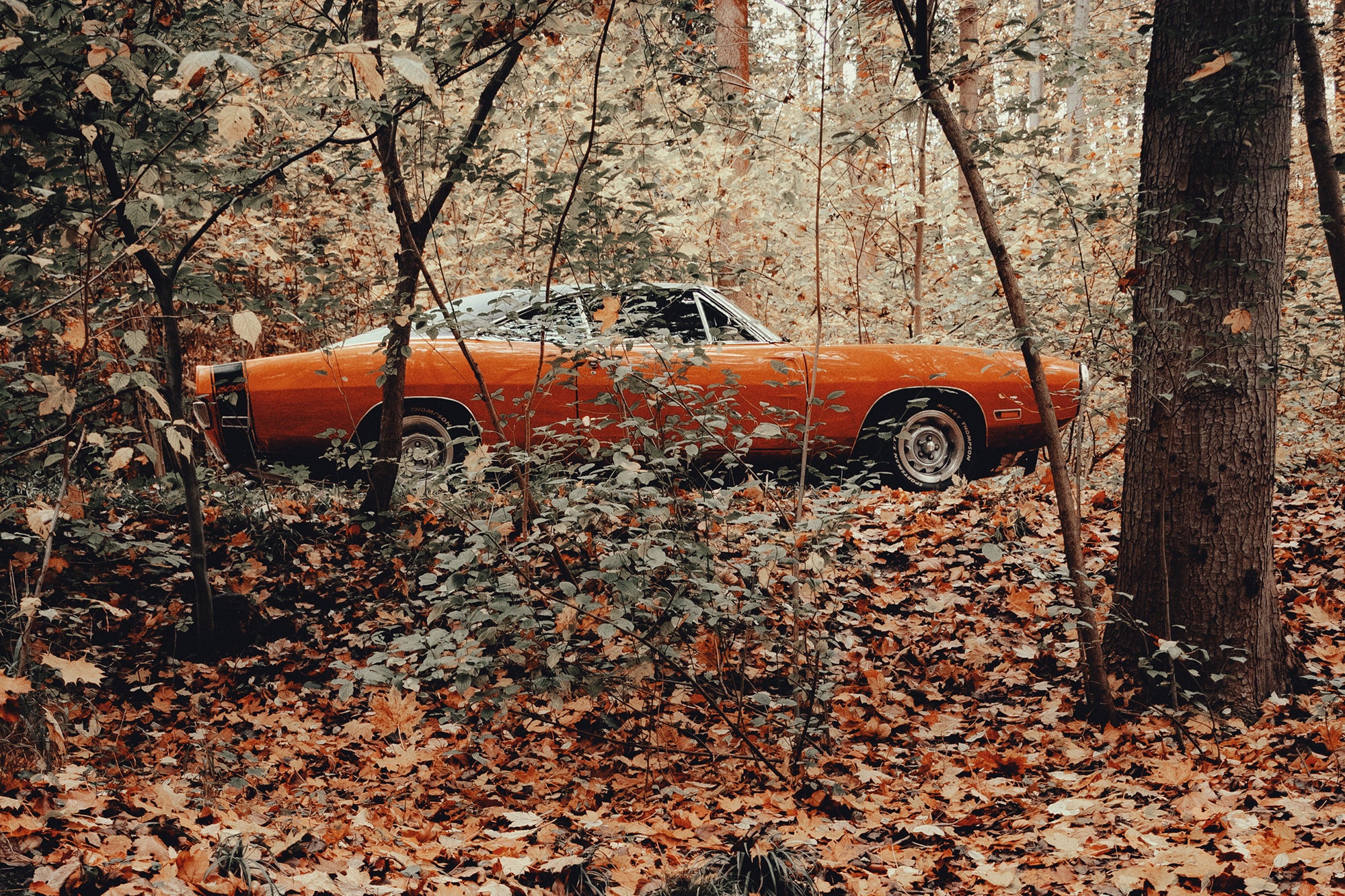 Dodge Charger 500 von 1970 mieten – V8 Muscle-Car, 300 PS – 4