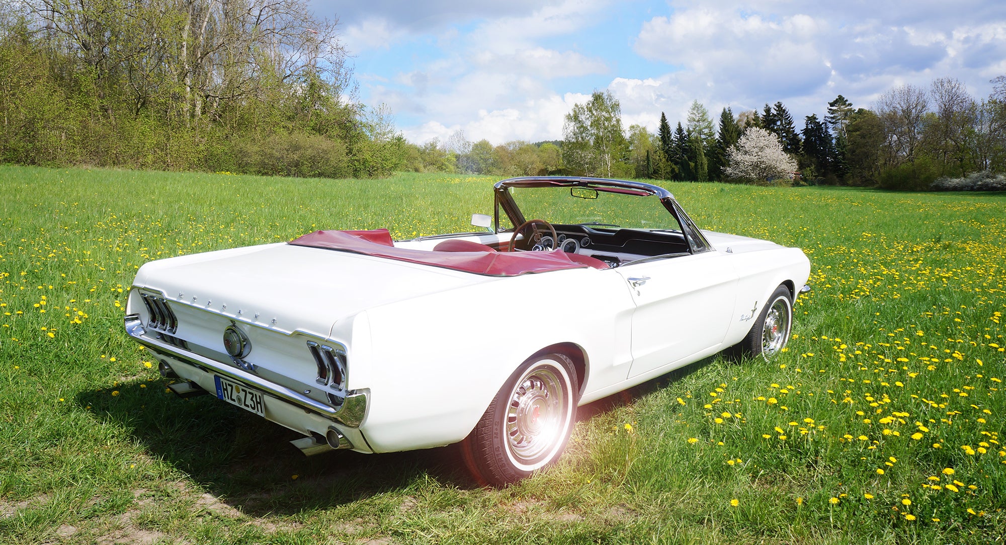 Ford Mustang Cabriolet 1967 als Hochzeitsauto mieten – V8, 230 PS – 3