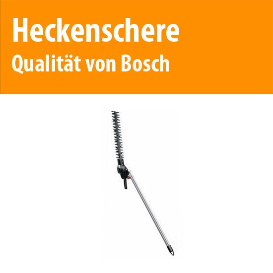 Bosch Astsäge mieten – elektrische Baum-Kettensäge zum Entasten & Stutzen, modular – 3