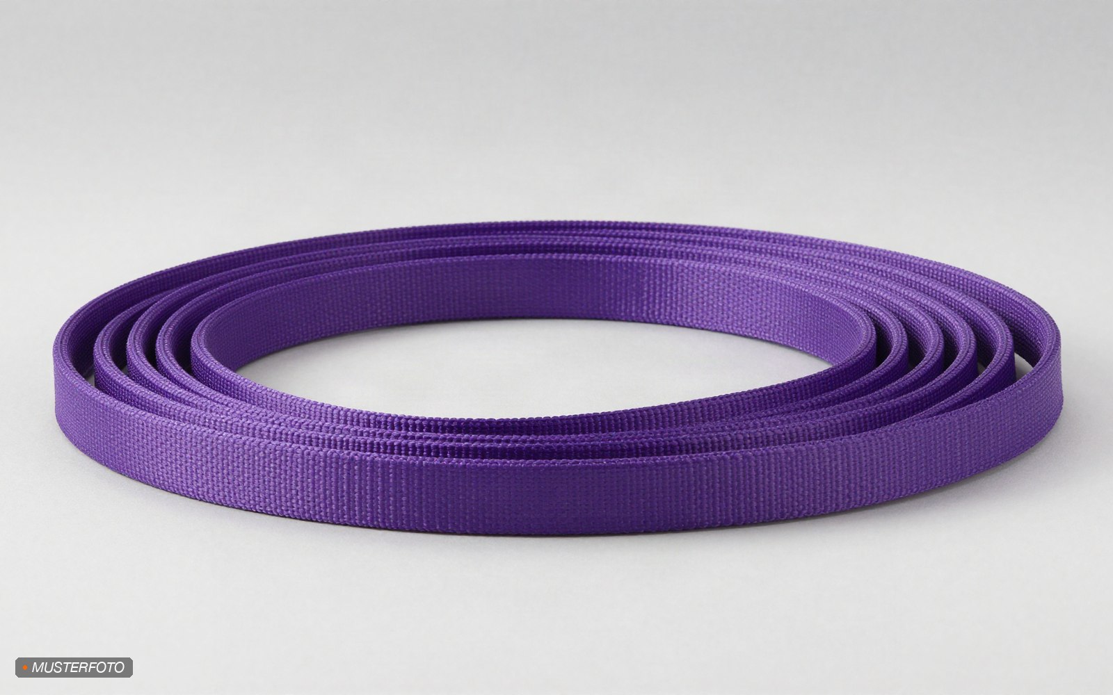 Rundschlinge 12t 12m mieten