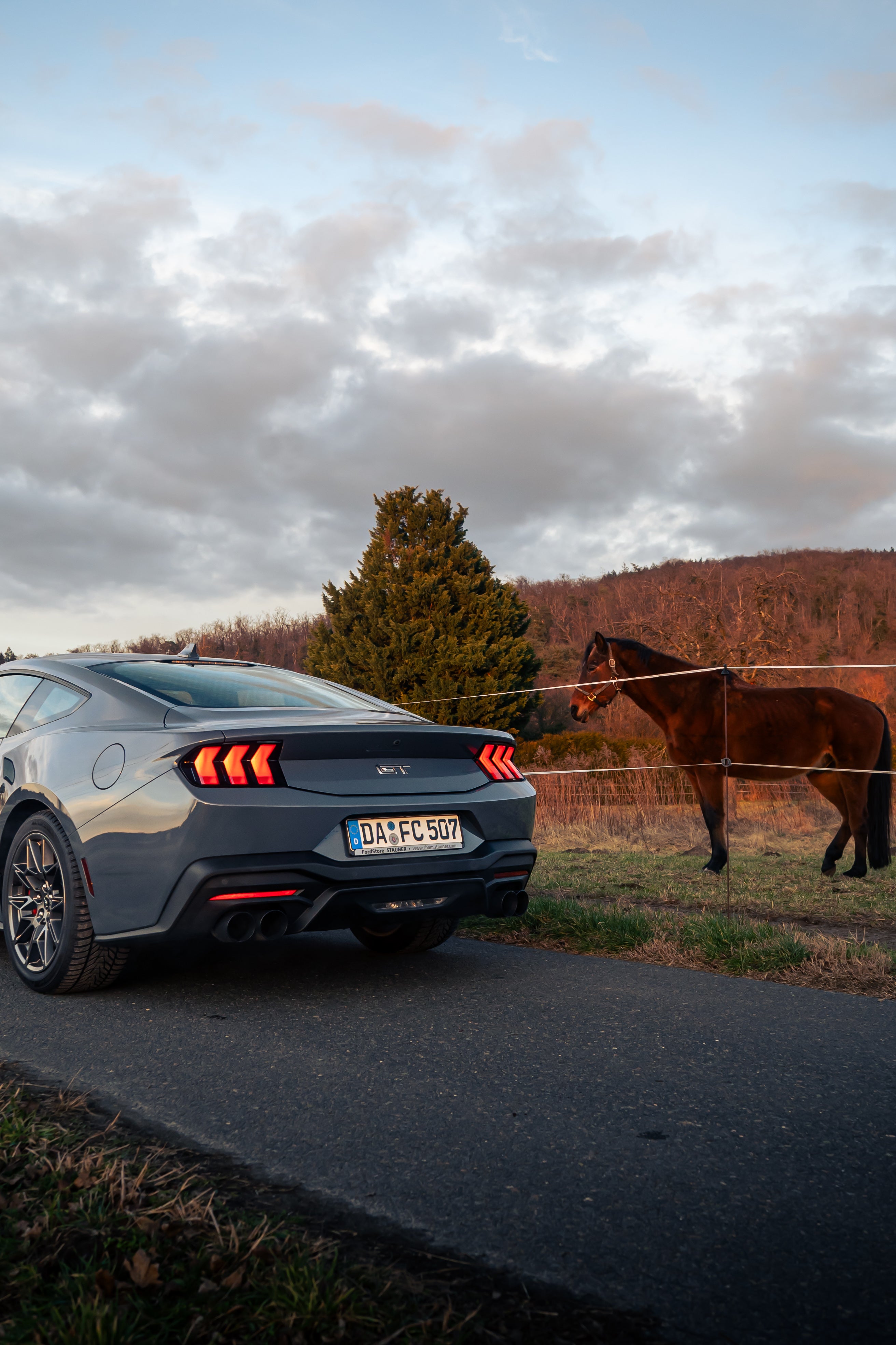 Ford Mustang GT Fastback V8 mieten - S650, 446 PS, Modell 2025 – 4