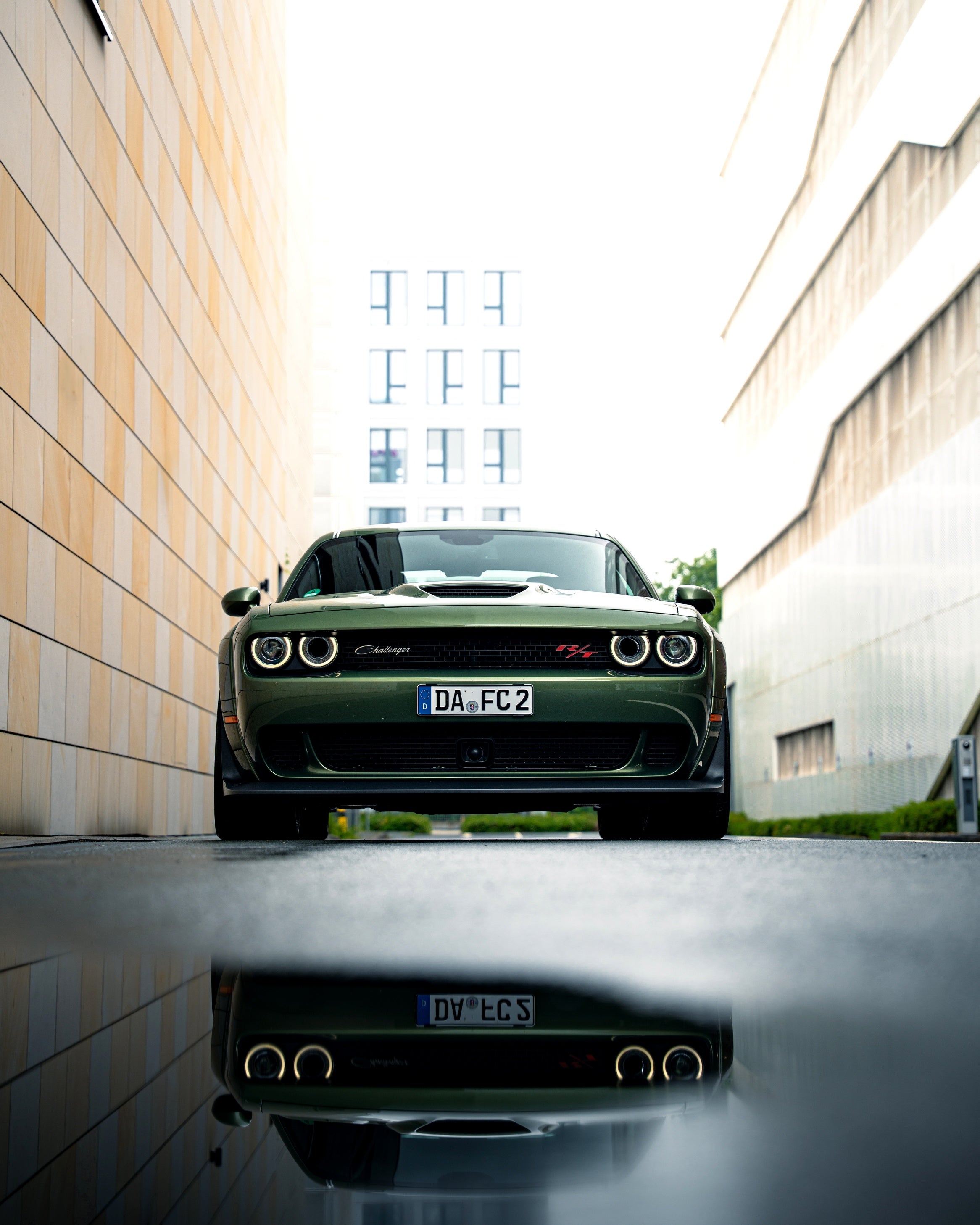 Dodge Challenger SCAT PACK Widebody mieten - 6.4L V8, 492 PS