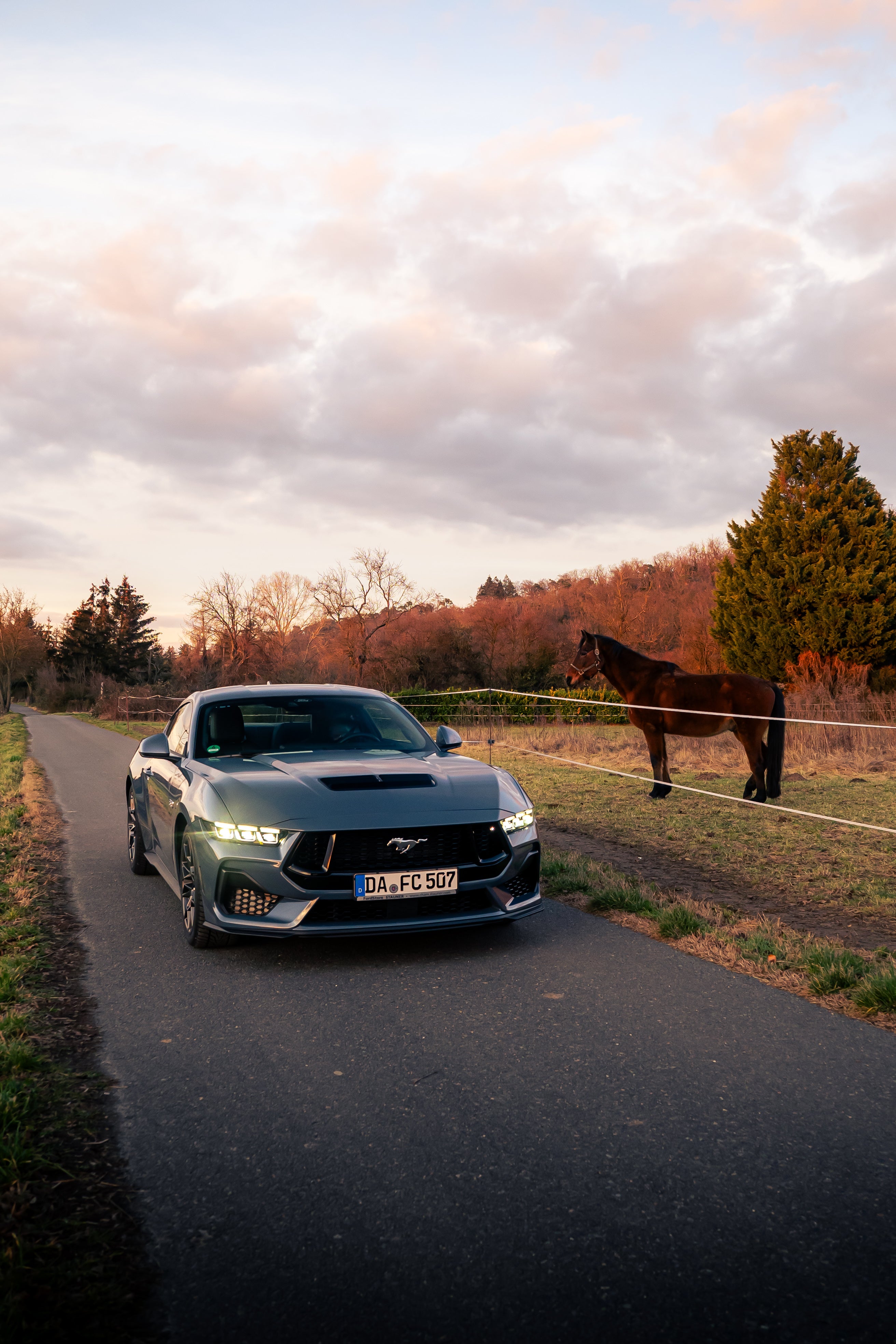 Ford Mustang GT Fastback V8 mieten - S650, 446 PS, Modell 2025 – 2