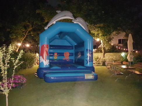Hüpfburg "Flipper" mieten – 4 x 4 m, Delfin-Design für Kinder