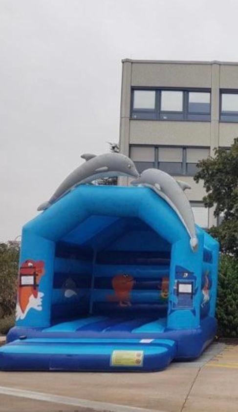 Hüpfburg "Flipper" mieten – 4 x 4 m, Delfin-Design für Kinder – 2