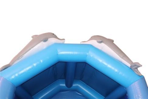 Hüpfburg "Flipper" mieten – 4 x 4 m, Delfin-Design für Kinder – 3