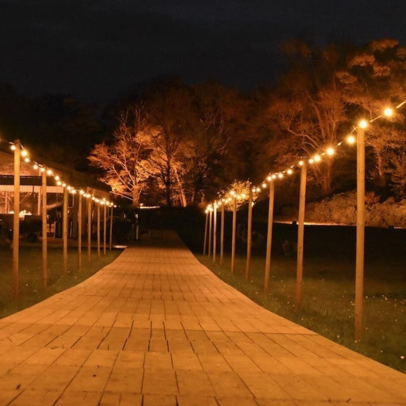 Illu-Lichterkette mieten – stimmungsvolle Event-Beleuchtung 3–20 m – 4