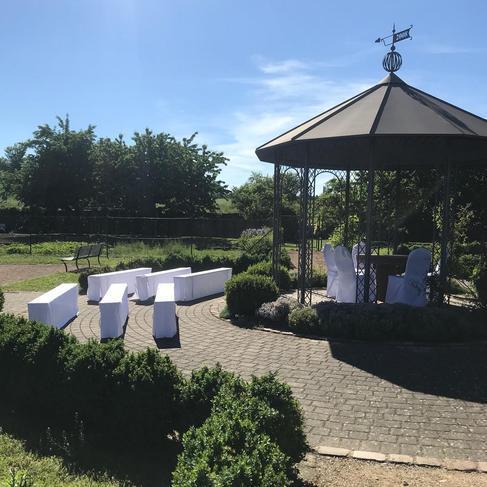 Hochzeitsstühle mieten - Crossback, Chiavari, Tiffany & Polsterstühle – 4