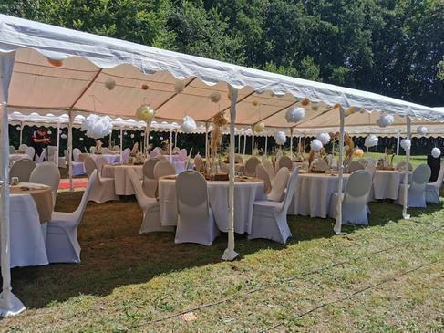 Polsterstühle mieten - gepolsterte Stühle für Events & Feiern – 3