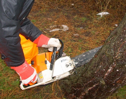 Kettensäge, 50 cm Schwertlänge, Benzingemisch – 3