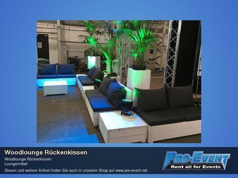 Woodlounge Sofa mit Kissen mieten – Bauholz-Lounge, weiß, rustikal – 3
