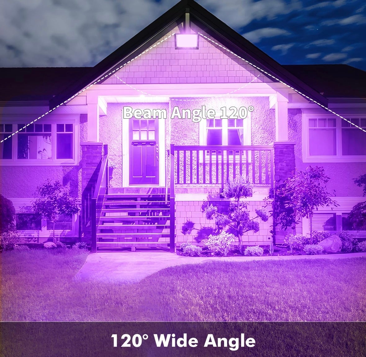 Schwarzlicht Strahler mieten – Hondony 100W LED UV-Strahler, IP65 wasserdicht – 3