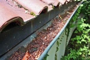 Dachrinnensauger mieten – SkyVac Industrial 85, Dachrinnenreinigung bis 12 m – 2