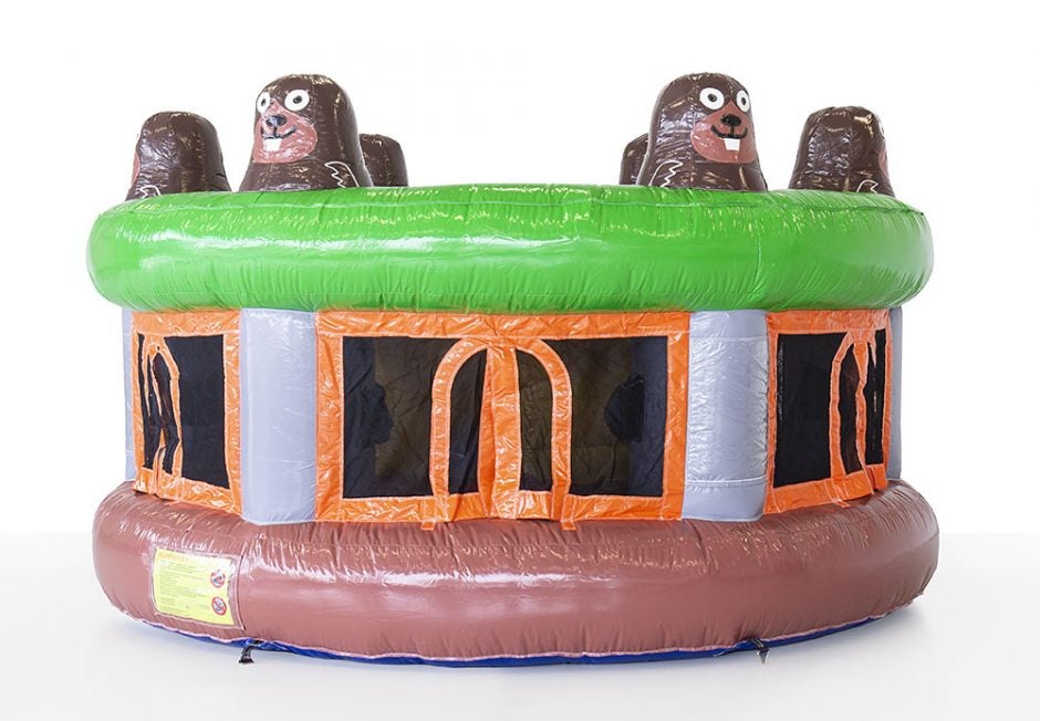 Whack a Mole mieten – aufblasbares Maulwurf-Spiel für bis zu 7 Spieler – 2