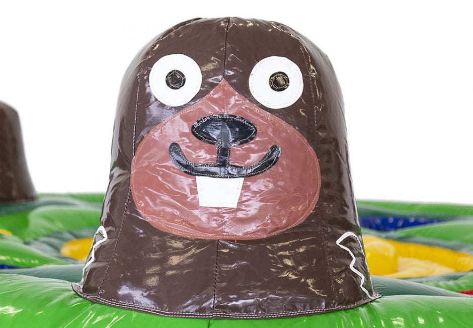 Whack a Mole mieten – aufblasbares Maulwurf-Spiel für bis zu 7 Spieler – 4