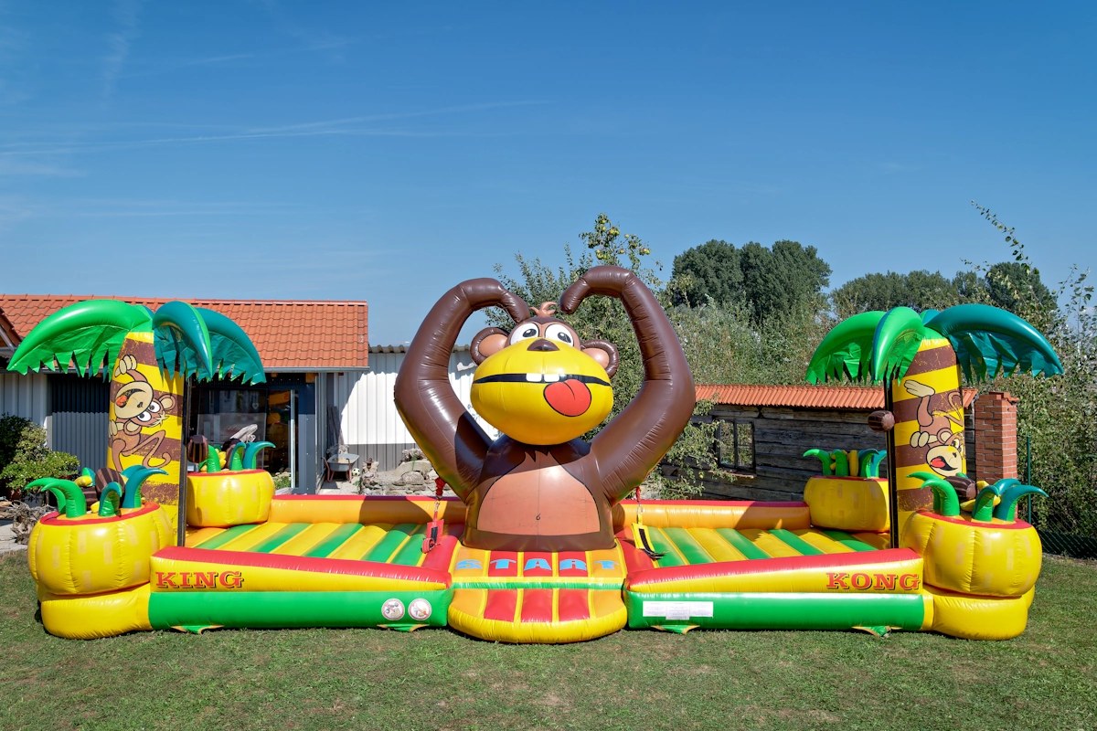 Hüpfburg King Kong mieten in Aholming – Kinderspaß fürs Fest