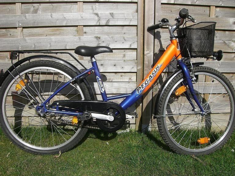 26 Zoll Pegasus Kinderfahrrad mieten in Krummhörn – Mietartikel – 2