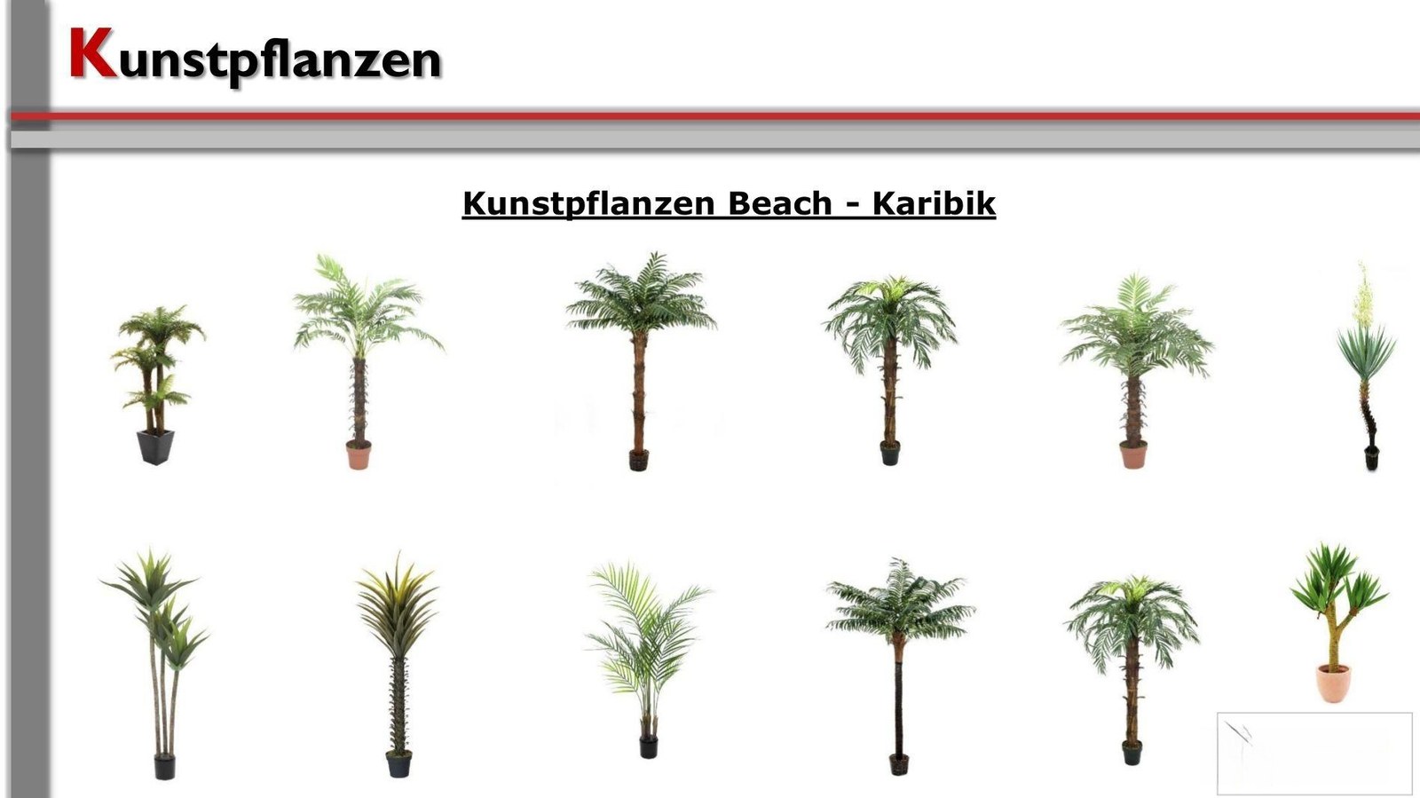Pflanzen / Kunststoffpflanzen mieten