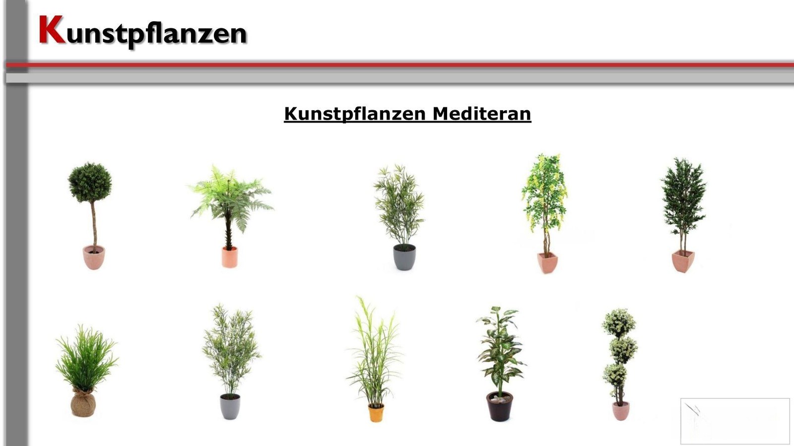 Pflanzen / Kunststoffpflanzen mieten – 2