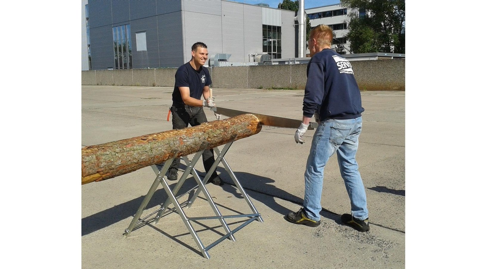Baumstammsägen mieten in Hannover bei unserem Team