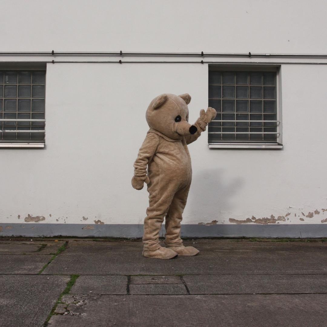 Walk Act Teddy / Bär / Kostüm buchen mieten in Hannover