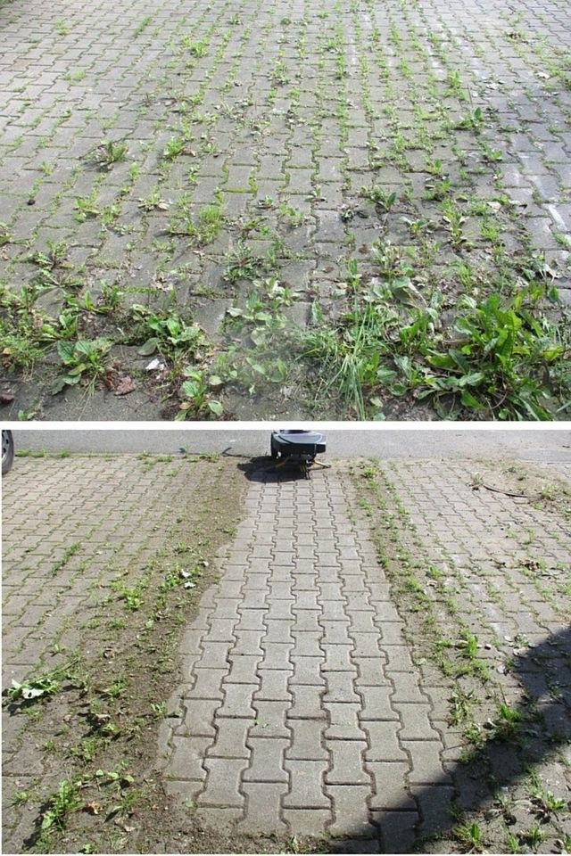 Kwern Wildkrautbürste Unkrautbürste mieten in Bordesholm – Mietartikel – 3