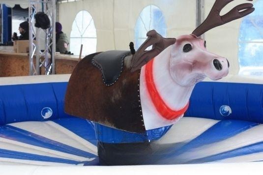 Rentierrodeo mieten in Böblingen bei unserem Team
