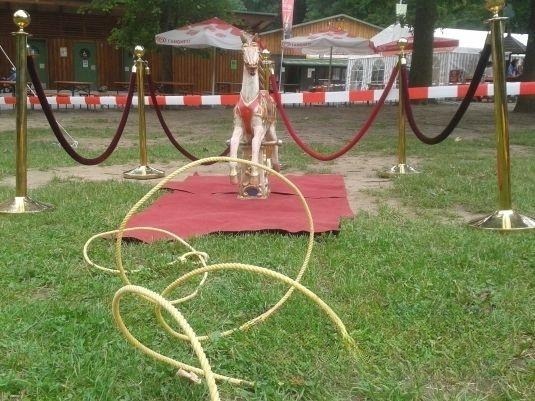 Lassowerfen mieten in Eibelstadt bei unserem Team
