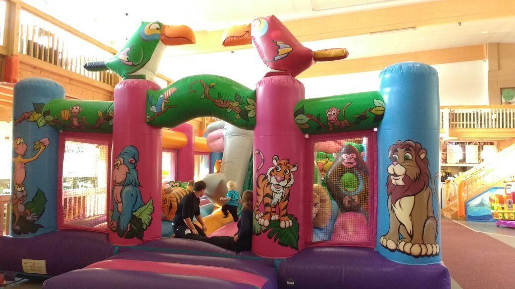 Hüpfburg Safari mieten in Eibelstadt bei unserem Team