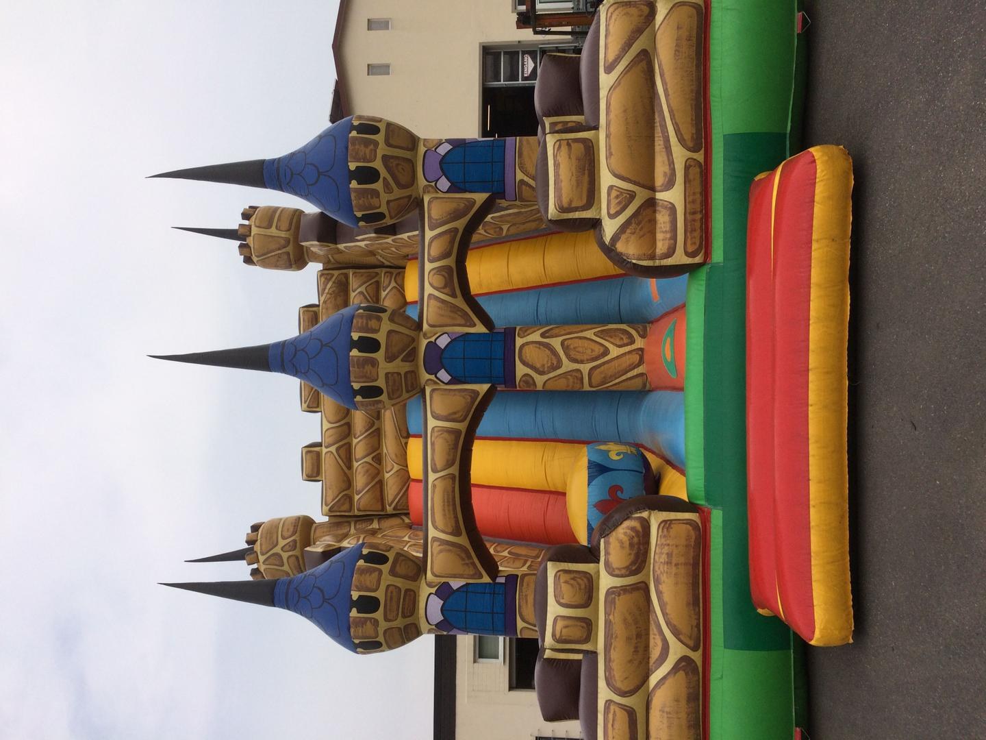 Riesenrutsche Schloss mieten in Eibelstadt – Kinderspaß fürs Fest – 2