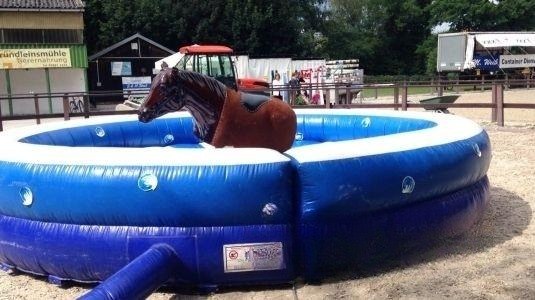 Horseriding / Pferdereiten mieten in Eibelstadt – Mietartikel