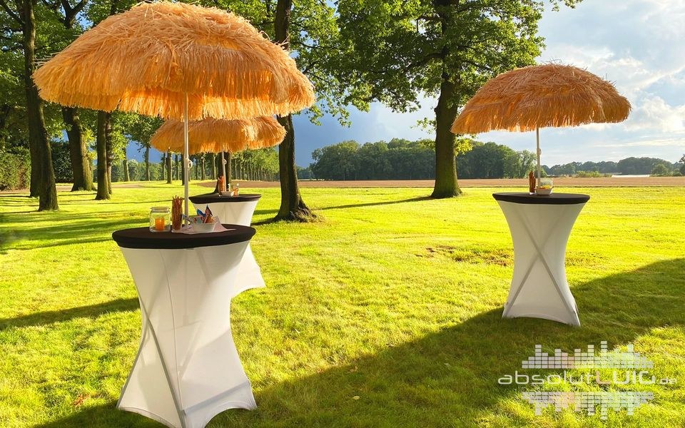 Stehtische Sonnenschirm Geburstag Beachparty DJ mieten in Waltrop