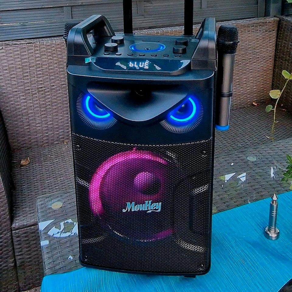 Karaoke Party Box 2 Mikrofone Discolicht mieten in Deutsch Evern