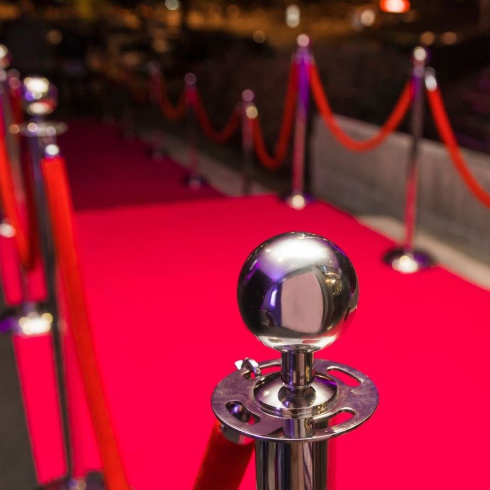 Roter Teppich für Hochzeit VIP Event mieten in Deutsch Evern – für die Hochzeit – 2