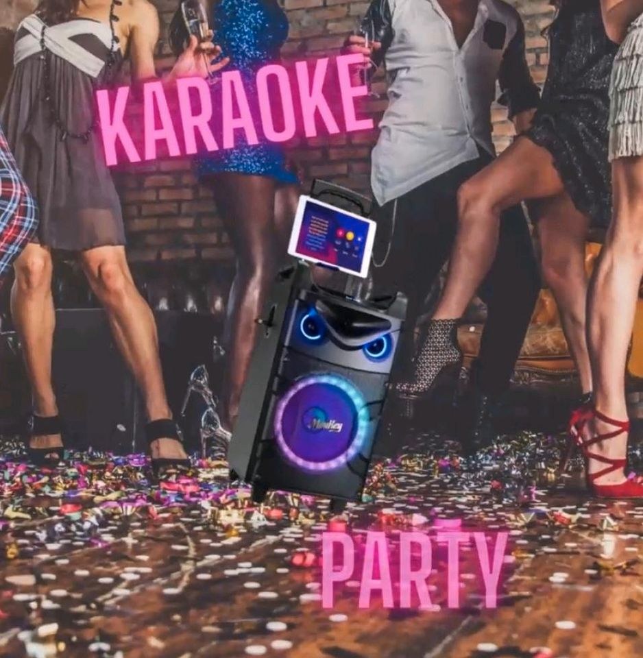 Karaoke Party Box 2 Mikrofone Discolicht mieten in Deutsch Evern – 3