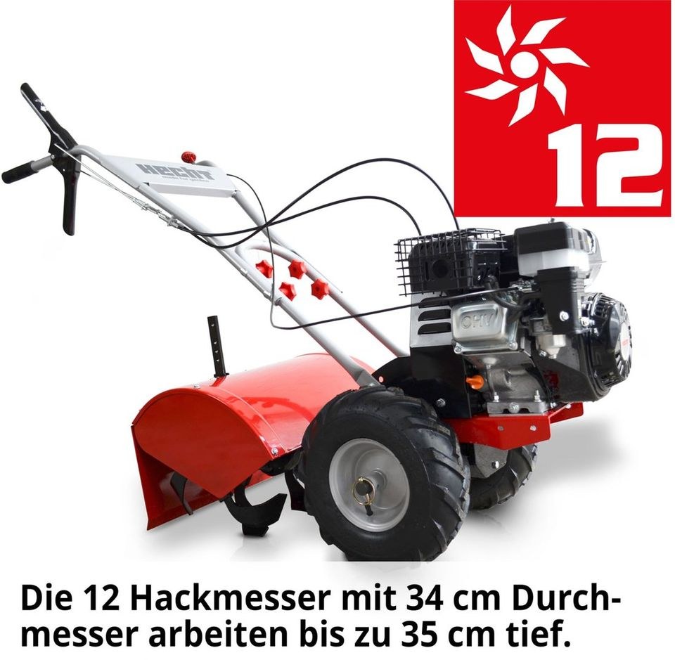 Gartenfräse Gartenhacke Hecht 750 mieten in Gosen-Neu Zittau – 3